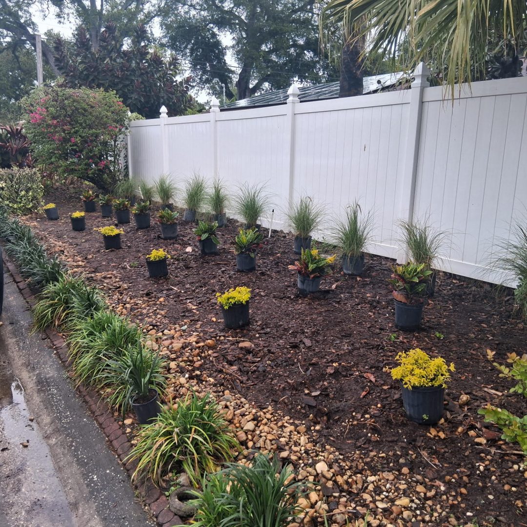 Landscaping_plants_StPetersburg